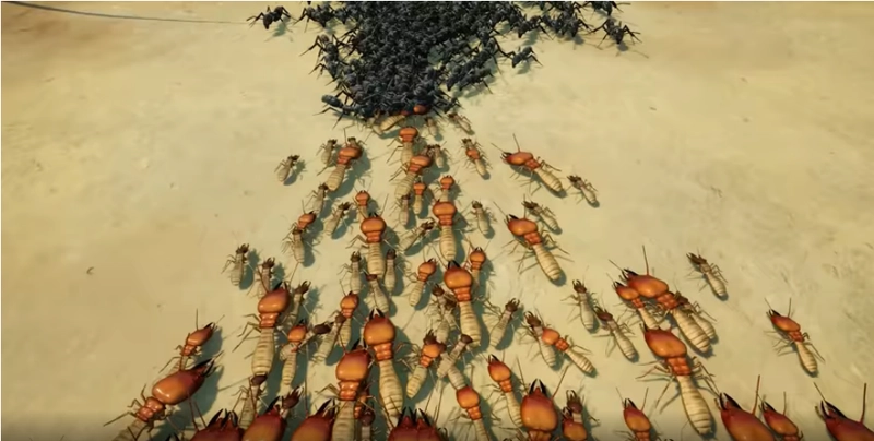 [即时战略]Empires of the Undergrowth地下蚁国v1.000419