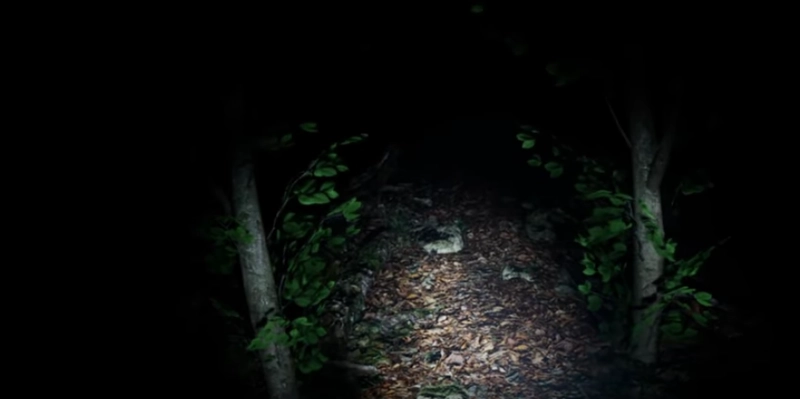 [恐怖游戏]Exanimum无声的呼唤