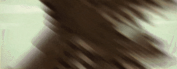 [角色扮演]大江湖之苍龙与白鸟v1.1.4.1免安装中文版