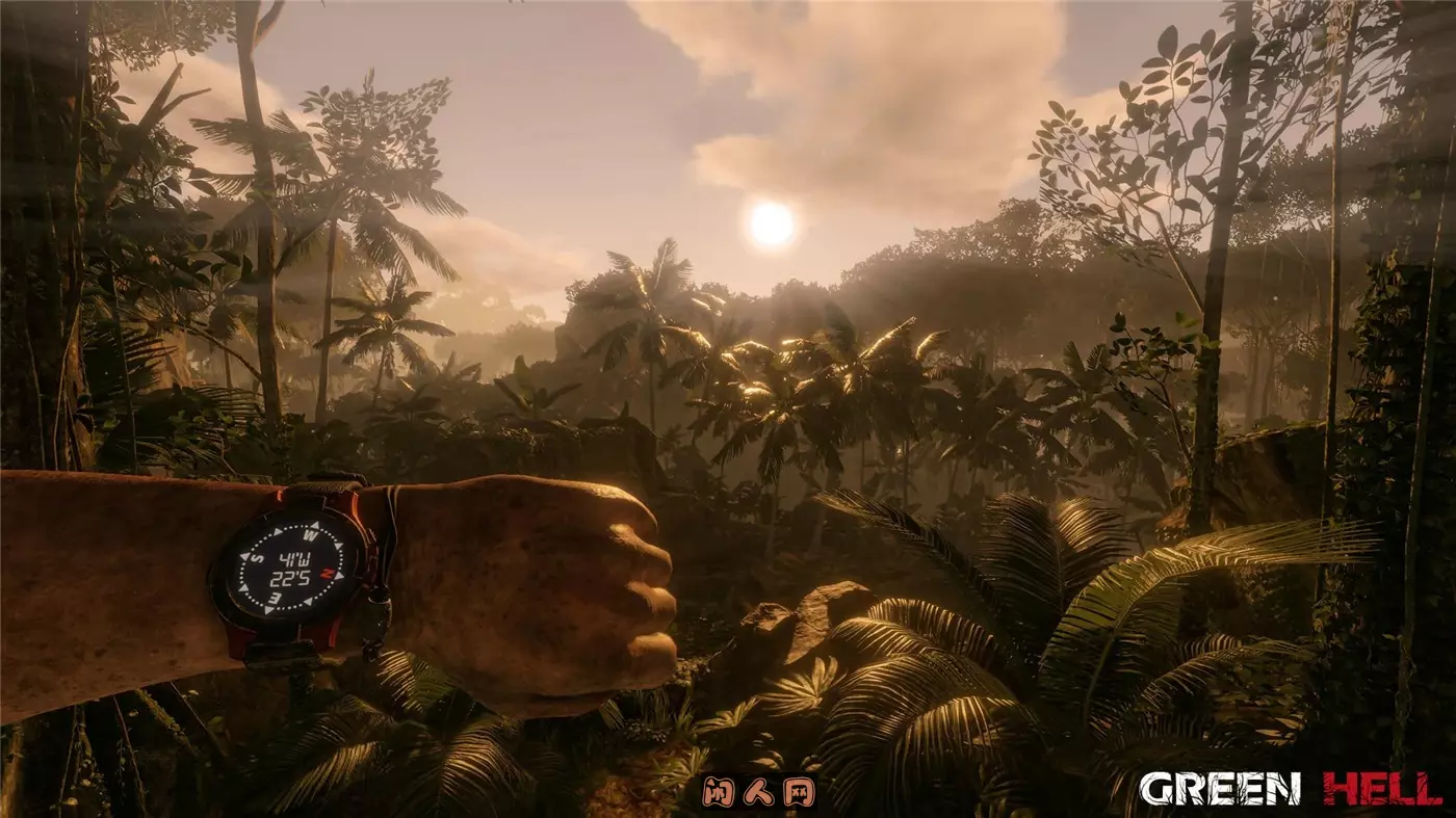 绿色地狱Green Hell v2.6.2官方简体中文支持键盘.鼠标.手柄|赠多项修改器7.6GB