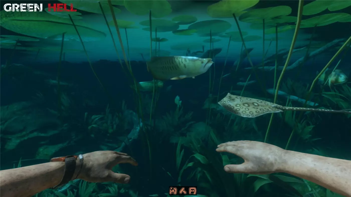 绿色地狱Green Hell v2.6.2官方简体中文支持键盘.鼠标.手柄|赠多项修改器7.6GB