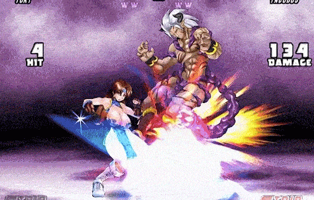 [日式FTG/动态]战士5:黑暗武斗会Strip Fighter 5 CE V1.2hotfix STEAM官中版豪华完整版+DLC 900M