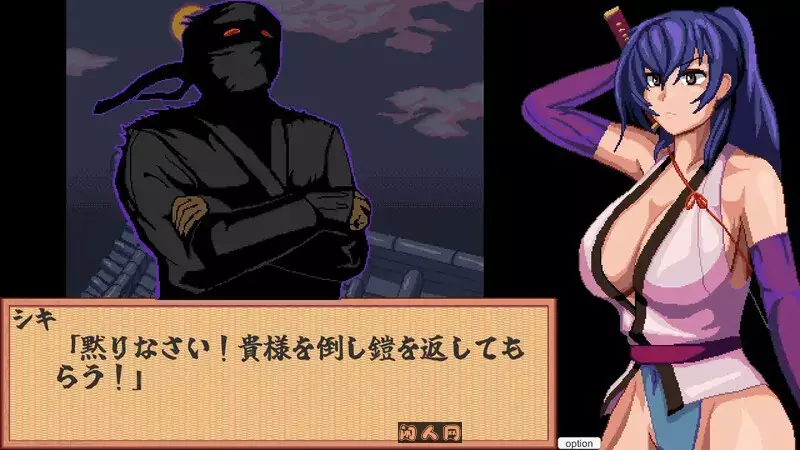 [桌游SLG/像素]前进吧！特搜隐秘女忍者机翻版800M