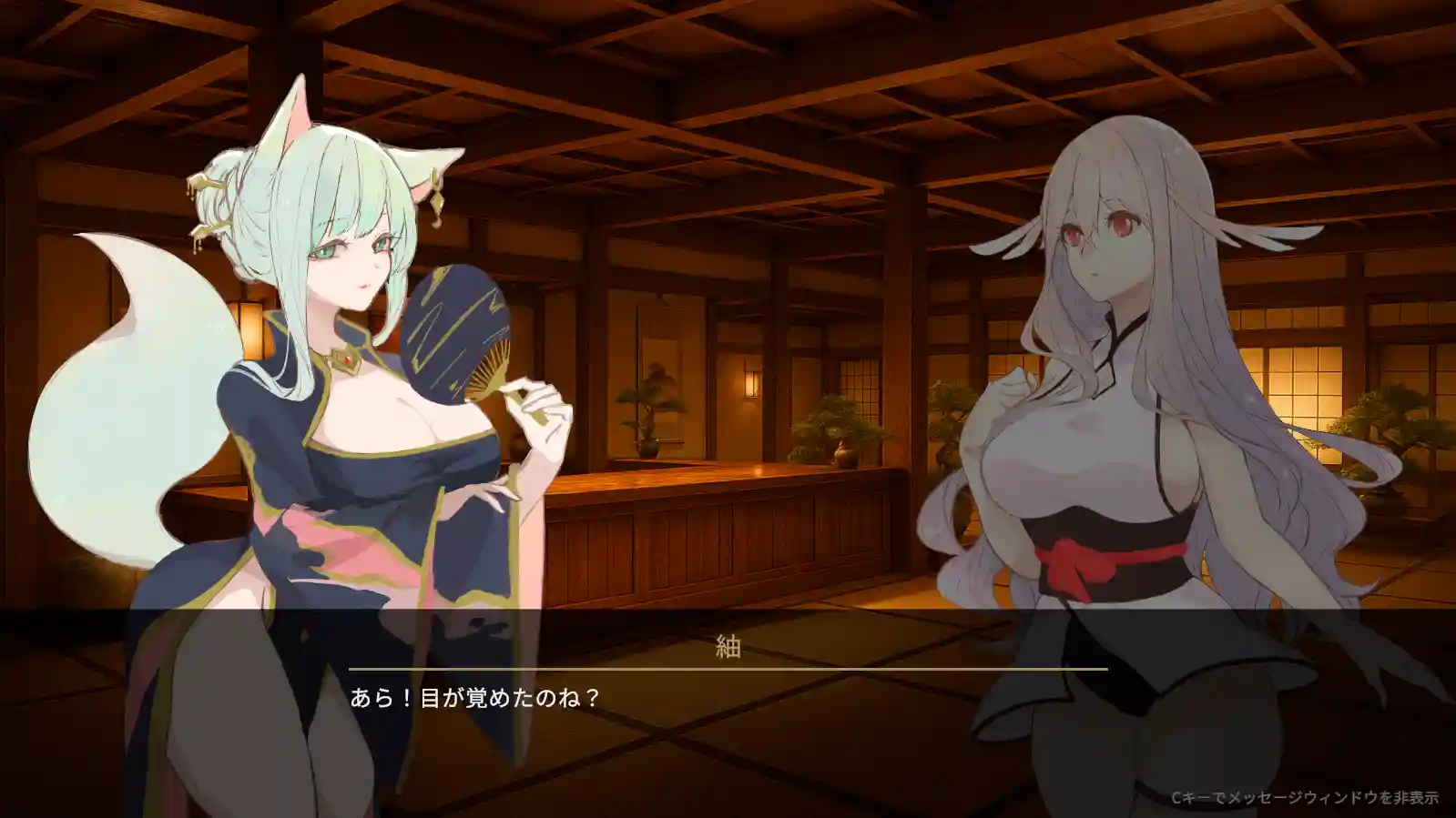 [SLG游戏]地下鬼城逃出生天/地下鬼城からの脱出官方中文版810M