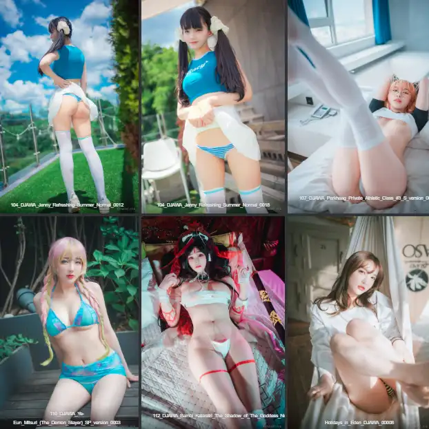 韩国DJAWA精美写真图视大合集453.6G