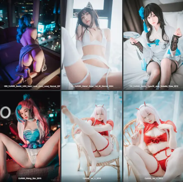 韩国DJAWA精美写真图视大合集453.6G