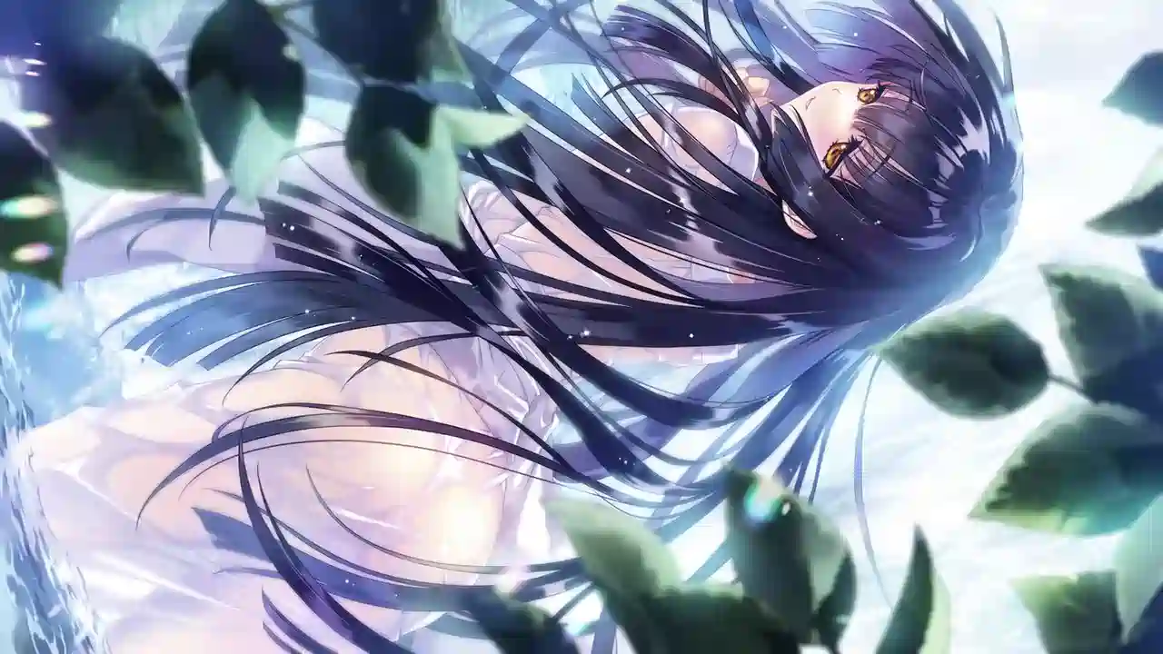 [精品ADV]无颜之月-待宵双椿-AI汉化版+全回想存档4.10G